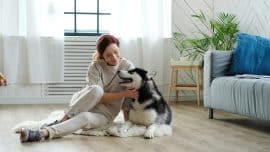 best wood flooring for dogs
