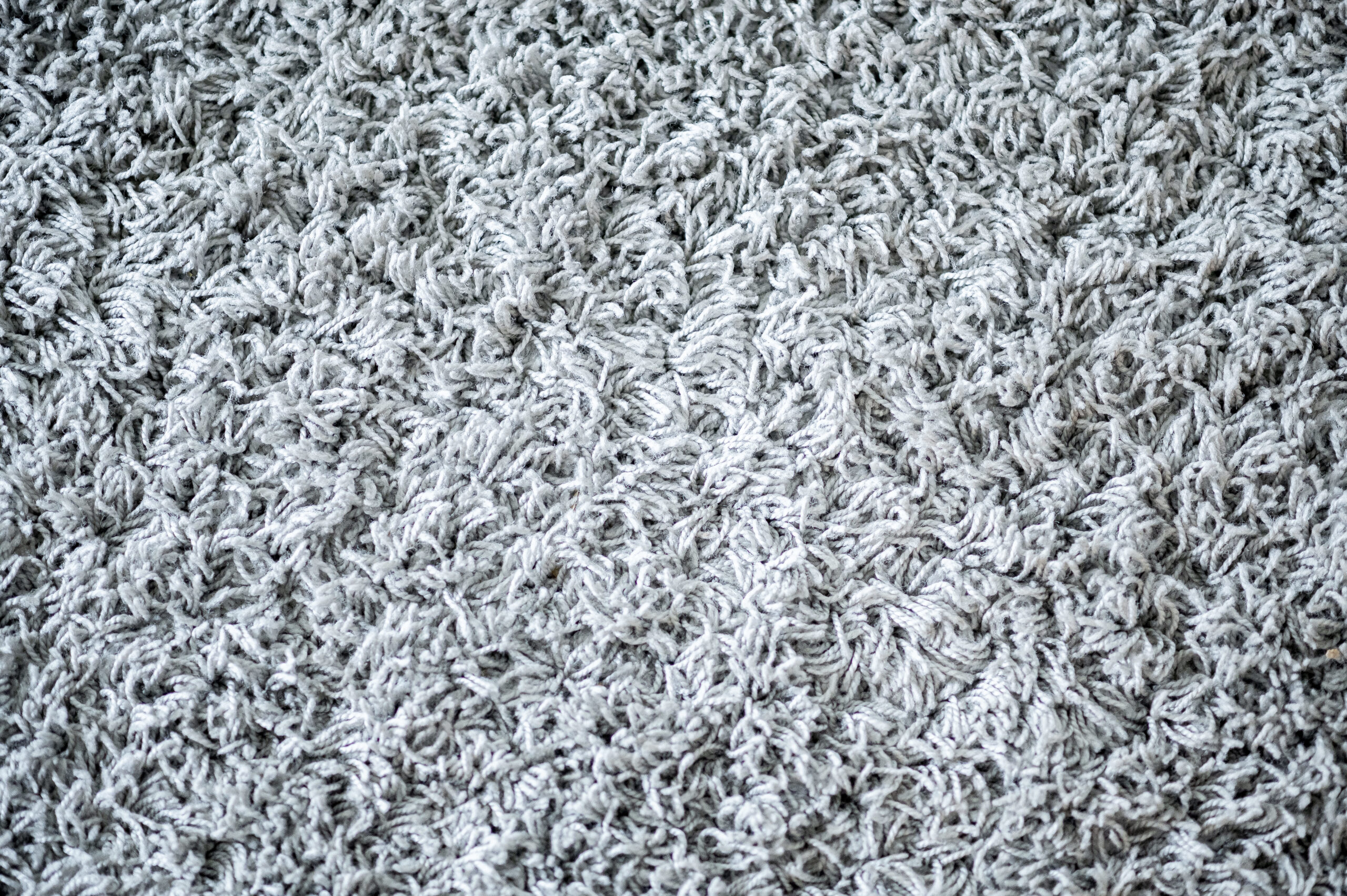 soft white carpet indoors background scaled